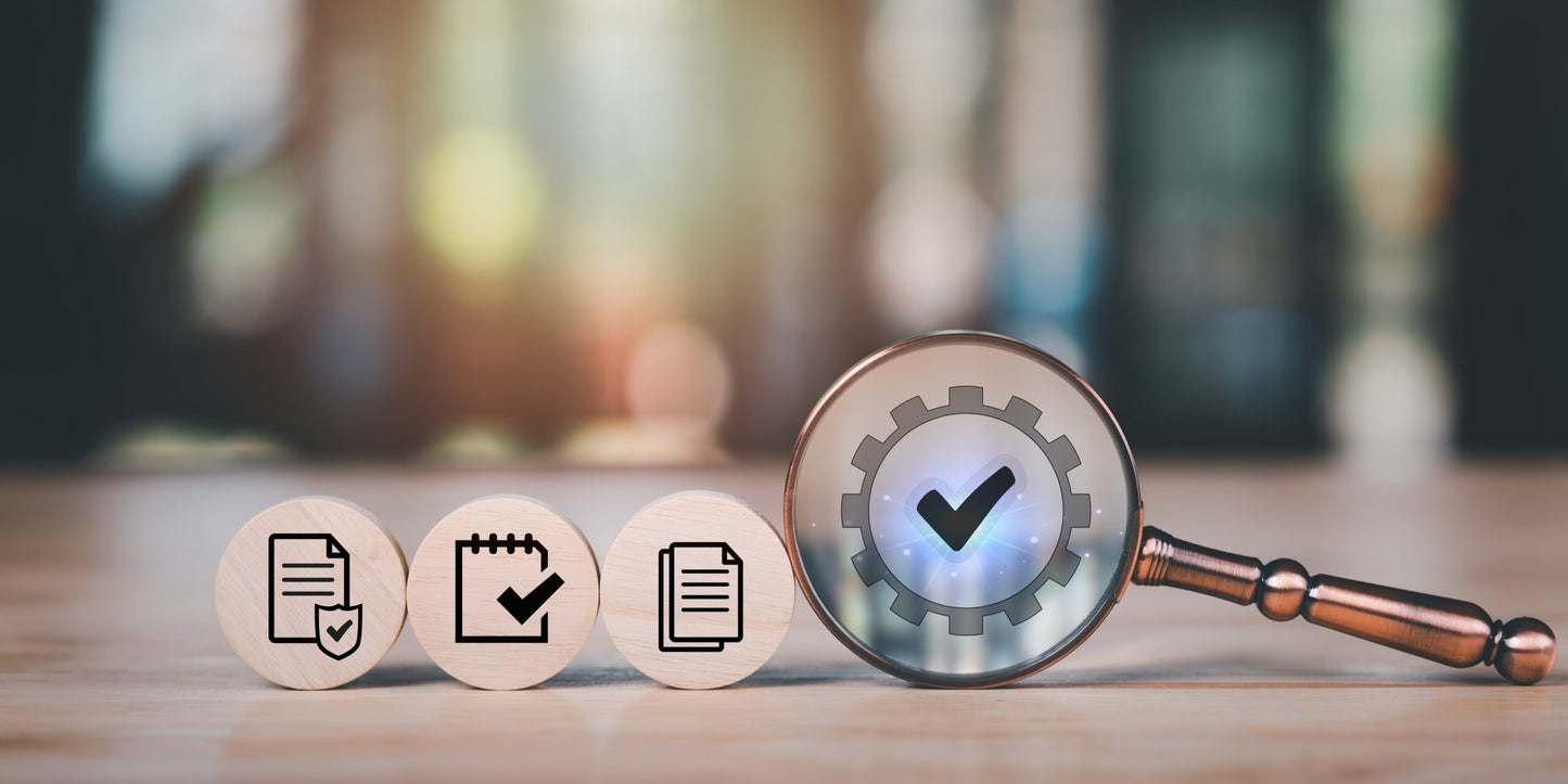 Business Operation Audit