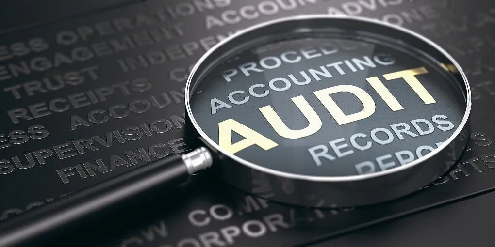 Business Financial Audit